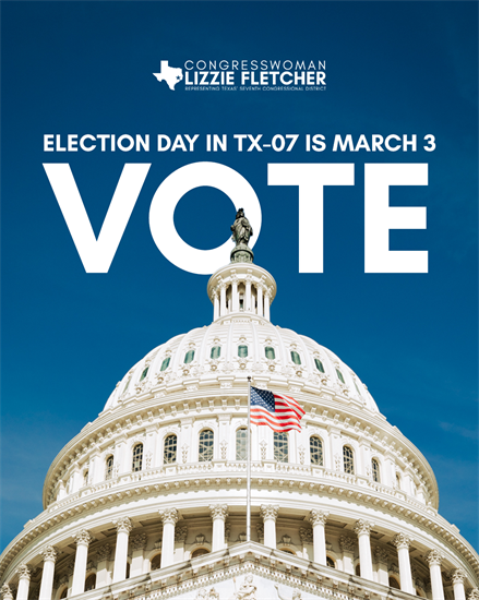 3.3 Election Day-Vote