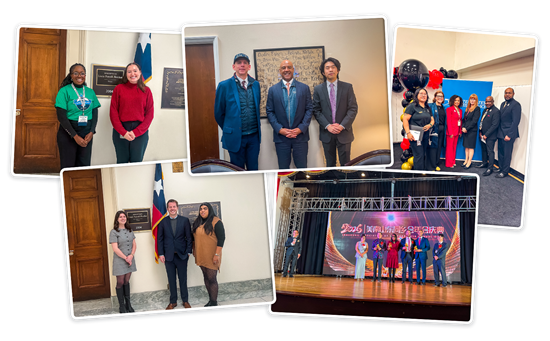 2.6 Team TX-07 Updated